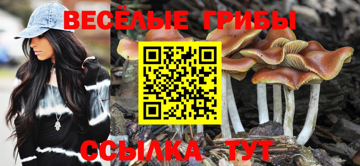 Заводоуковск  Псилоцибиновые грибы GOLDEN TEACHER  Вход с VPN 